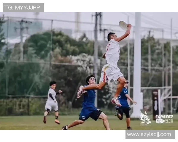 飞盘个人能力榜单揭晓北京飞盘队荣获第三名殊荣MBA