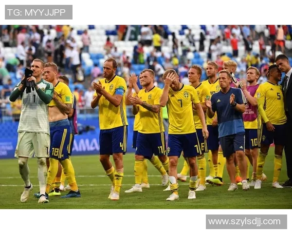 瑞典与瑞士足球赛半全场胜负分析与预测技巧分享