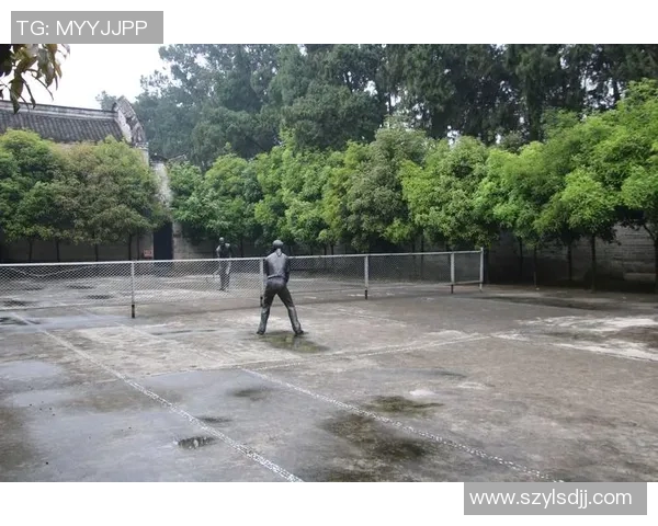 成都网球队的边路渗透技巧揭秘与战术深度分析