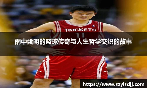 完美体育