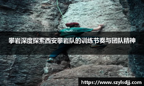 完美体育在线入口官网