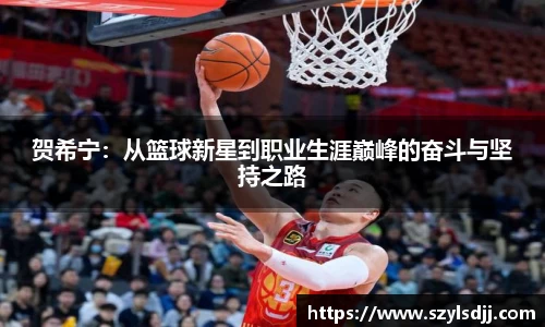 完美体育