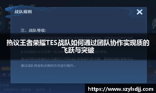 热议王者荣耀TES战队如何通过团队协作实现质的飞跃与突破