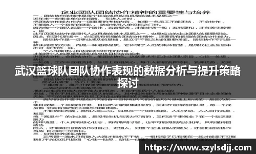 武汉篮球队团队协作表现的数据分析与提升策略探讨