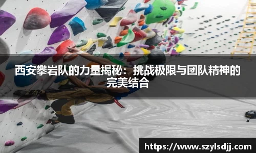 完美体育app下载安装